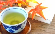 【ブログ】秋の新茶！この時期しか味わえないくらだし（蔵出し）茶のおはなし