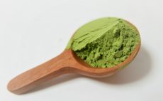 【ブログ】身近なようで意外と知らない、抹茶のおはなし