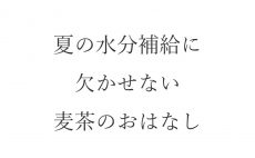 【ブログ】夏の水分補給に欠かせない麦茶のおはなし