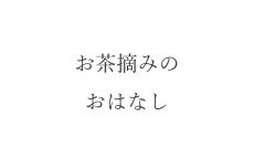 【ブログ】お茶摘みのおはなし