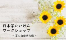 夏季限定・お茶屋さんと学ぶ 体験ワークショップ