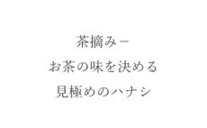 茶摘み－お茶の味を決める見極めのハナシ